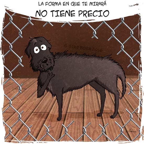 comic perro adoptado bird born 11 - Bird Born para adoptar un perro