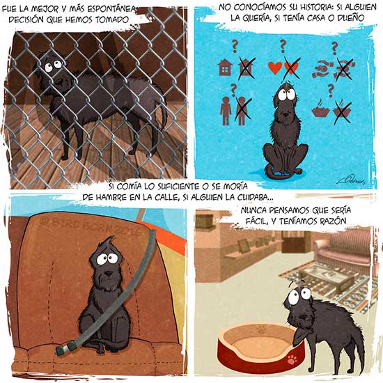 comic perro adoptado bird born 2 - Bird Born para adoptar un perro