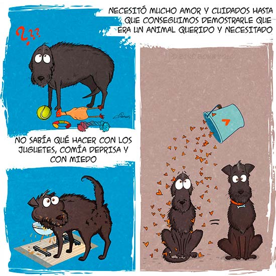 comic perro adoptado bird born 4 - Bird Born para adoptar un perro