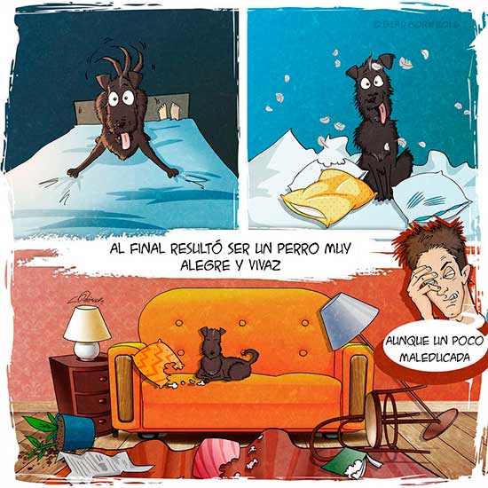 comic perro adoptado bird born 5 - Bird Born para adoptar un perro