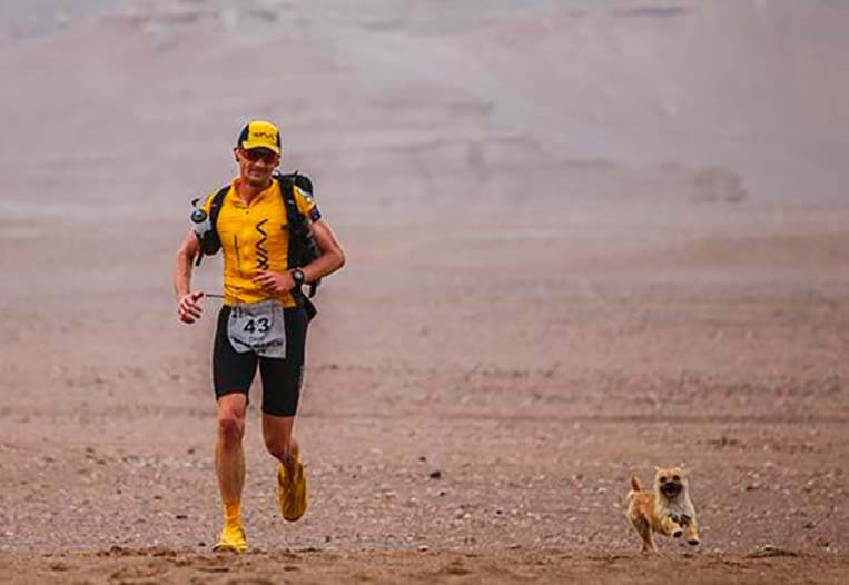 perrita maraton de gobi y Dion Leonard - Gobi, perrita ´maratoniana´perdida en China