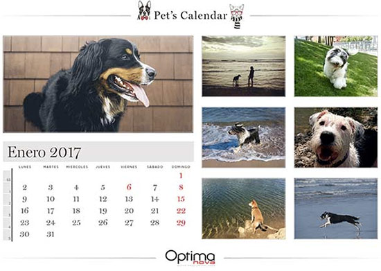 calendario perros y gatos optimanova - Tu mascota protagonista de un calendario 2017