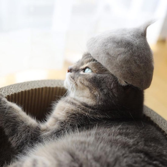 gatos con gorros pelo 4 - Gorros con el propio pelo de los gatos