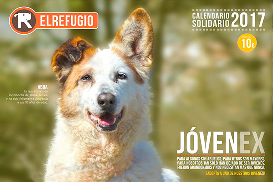 Calendario el refugio 2017 - Día del Voluntario. ¡Gracias por tu trabajo!