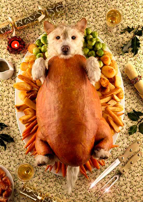 Dog Roast 2009 Peter Thorpe - 25 años de Christmas con Paddy y Raggle