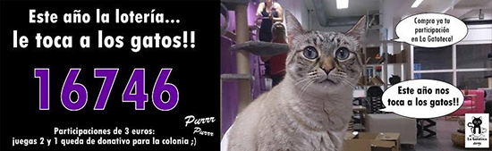loteria gatoteca - ¡Regalos solidarios por Navidad!