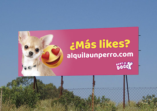 alquila un perro rentadoggy 2 - La campaña 'alquila un perro' crea controversia