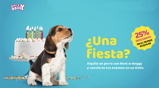 alquila un perro rentadoggy - La campaña 'alquila un perro' crea controversia