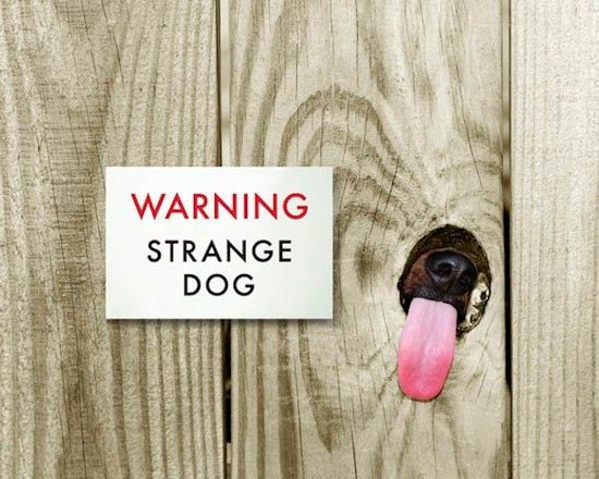 cartel aviso perro 7 - Carteles de 'Cuidado con el perro'