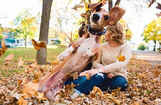 perros haciendo photobomb 1 - Gatos y perros, los reyes del 'Photobomb'