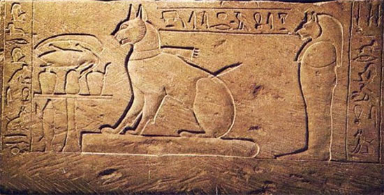 gatos en egipto - De animales salvajes a compañeros de vida