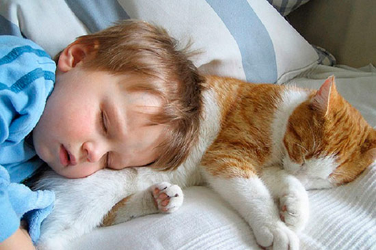 bebe durmiendo con gato - Dormir con tu mascota ayuda a descansar mejor