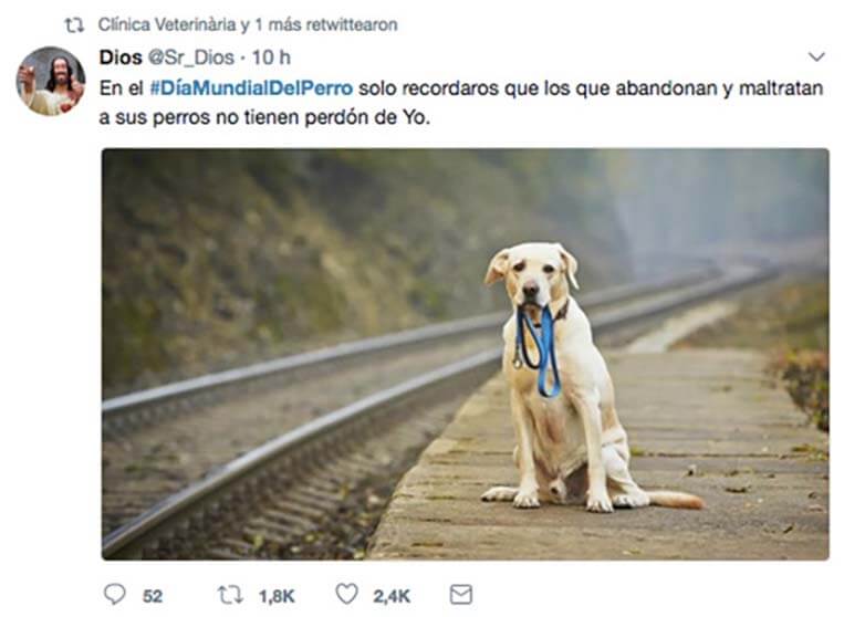 dia mundial del perro Dios twitter - ¡Revive el Día Mundial del Perro!