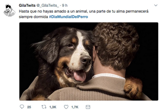 dia mundial del perro gila twits - ¡Revive el Día Mundial del Perro!