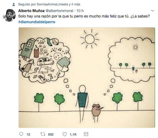 dia mundial del perro tuits - ¡Revive el Día Mundial del Perro!