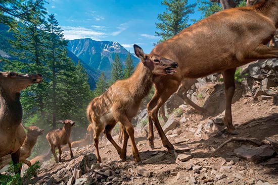 mejores fotos 2016 national geographic 1 - Fotos de National Geographic 2016