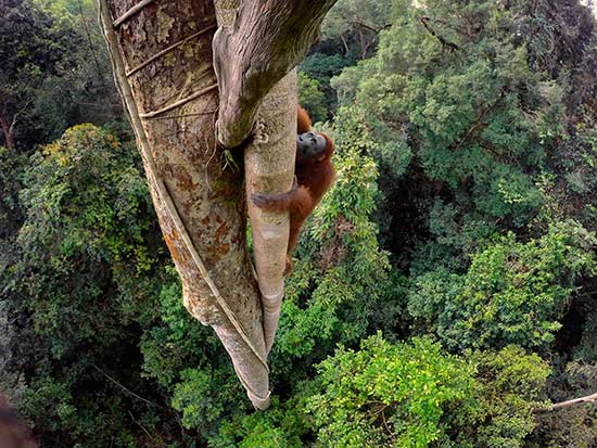 mejores fotos 2016 national geographic 3 - Fotos de National Geographic 2016