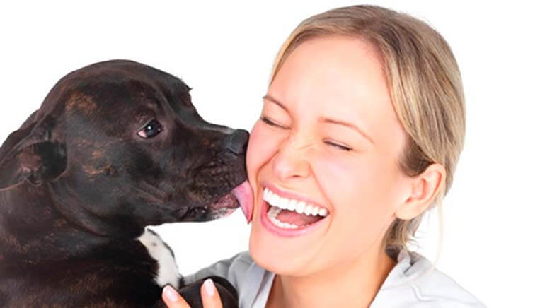 perro lamiendo cara mujer - El verdadero amor de los perros: las personas