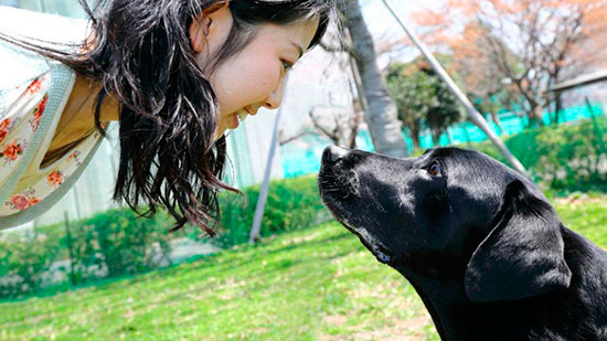 perro y persona mirandose a los ojos - El verdadero amor de los perros: las personas