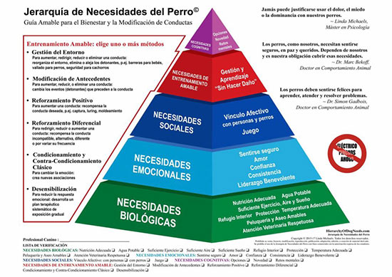 Maslow en perros Jerarquia de las necesidades del perro - La pirámide de Maslow para perros