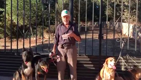 Santiago busca hogar para sus seis perros - Hombre con cáncer busca hogar para sus  perros