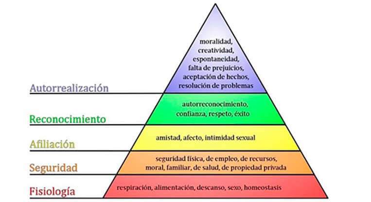 piramide de Maslow - La pirámide de Maslow para perros