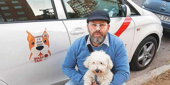 Niño latín Dormitorio Taxis para mascotas, pronto en toda España - Tienda Veterinaria Blog
