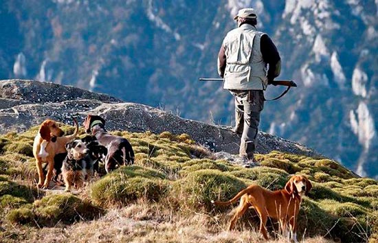 caza con perros - Los cazadores y el bienestar animal