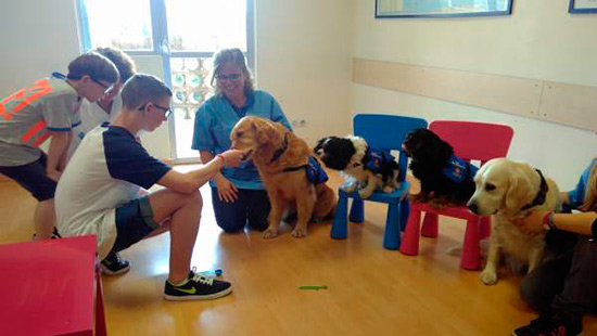 perros de terapia - Síndrome alcohólico fetal y terapia con perros