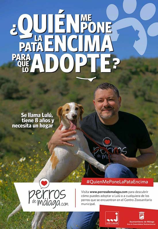 quienmeponelapataencima - Mira esta simpática campaña de adopción