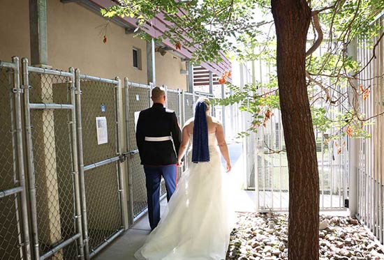 boda en protectora de Nevada - Una pareja casada pide donaciones