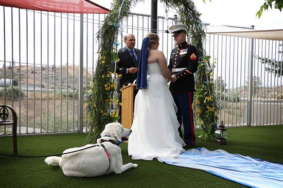 boda en refugio animales - Una pareja casada pide donaciones
