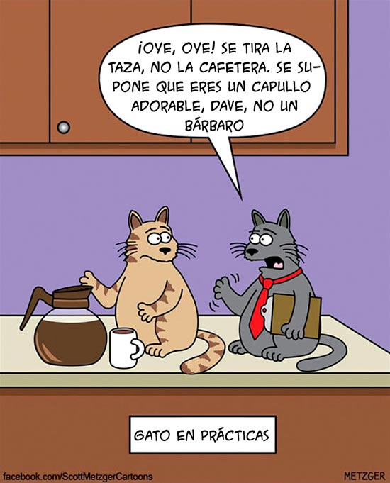 comicgatosScott Metzger 2 - Entiende la lógica gatuna con humor