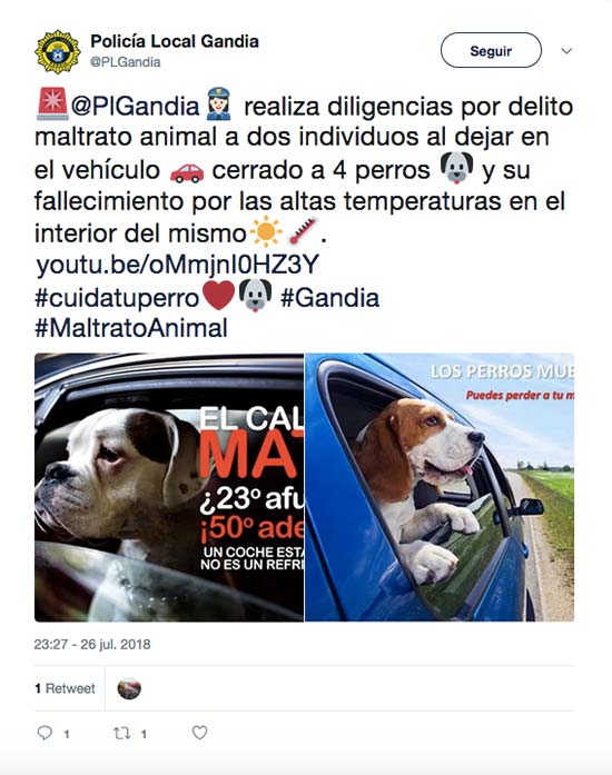 perro fallecen maletero coche - Perros fallecidos en un maletero