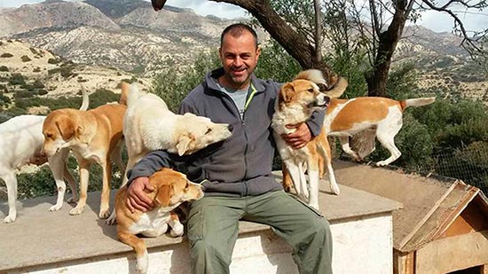 Takis shelter - El refugio de decenas de perros sin hogar