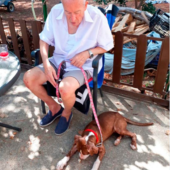 Francisco y Estrella - La perra que cuidaba al anciano con Alzheimer