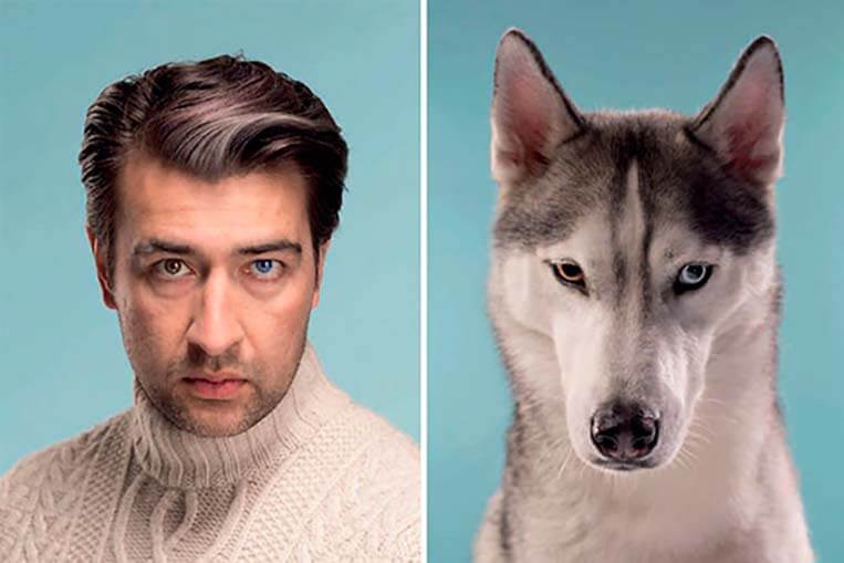 Gerrard Gethings 2 - Fotos de perros y dueños con los mismos rasgos