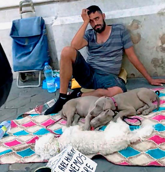 perros mendigos - Mafias de la mendicidad usan perros drogados