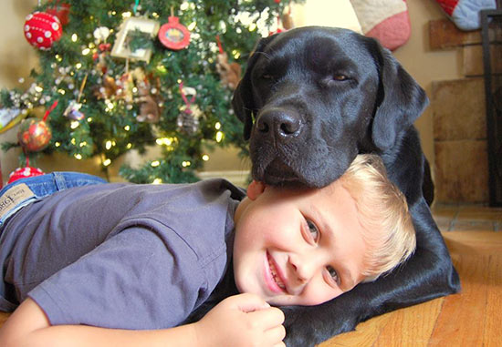 luke y Jedi el perro labrador de alerta medica - El niño con diabetes y su perro: documental