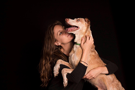 Ozzy perro en adopcion - La esperanzadora y emotiva historia de Ozzy