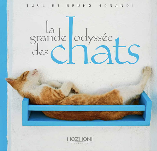 Tuul y Bruno Morandi libro - Fotografías de gatos callejeros por el mundo