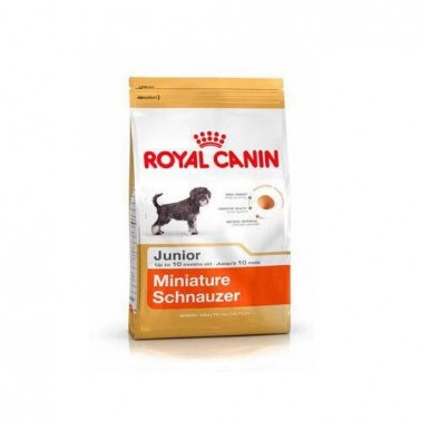 royal canin schnauzer puppy - Mejores piensos para perros cachorros