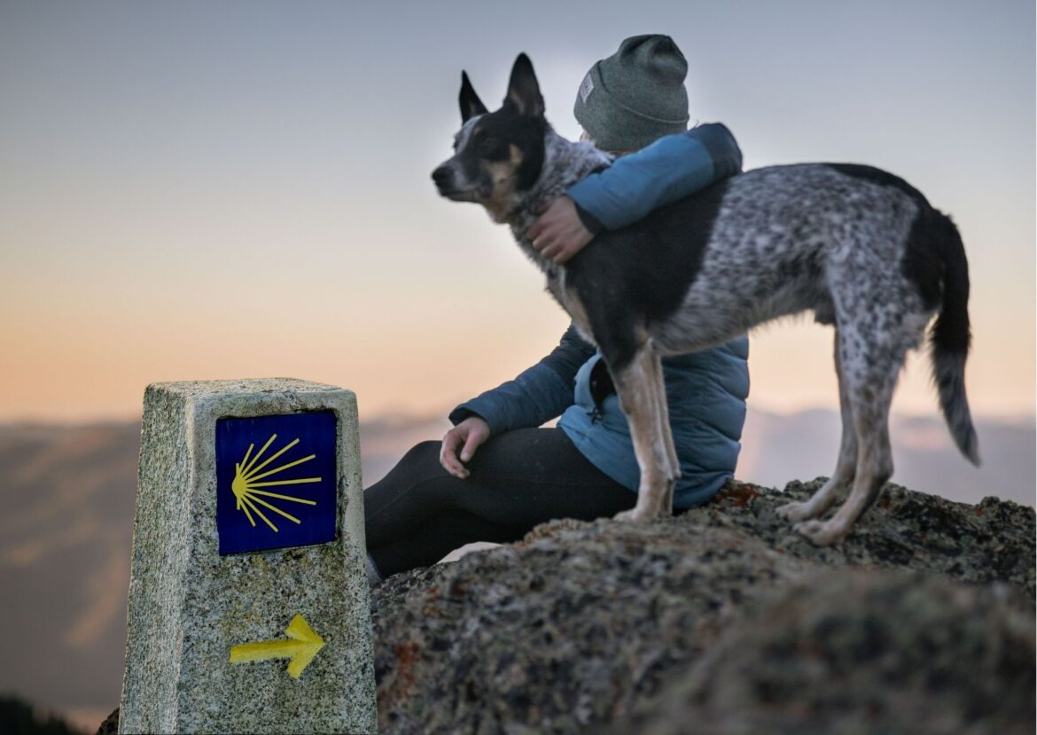 BLOG COMIDA HUMEDA 2 1170x830 - Haz el Camino De Santiago con tu amigo perruno