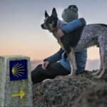 Haz el Camino De Santiago con tu amigo perruno BLOG COMIDA HUMEDA 2 150x150 - Haz el Camino De Santiago con tu amigo perruno
