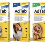 Comprimidos Masticables AdTab para Perros 150x150 - ¿Qué es y para qué sirve Bravecto?