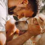 ¿Cuánto suele durar el efecto de las pipetas en perros? - Barakaldo Vet Shop ¿Cuánto suele durar el efecto de las pipetas en perros? - Barakaldo Vet Shop