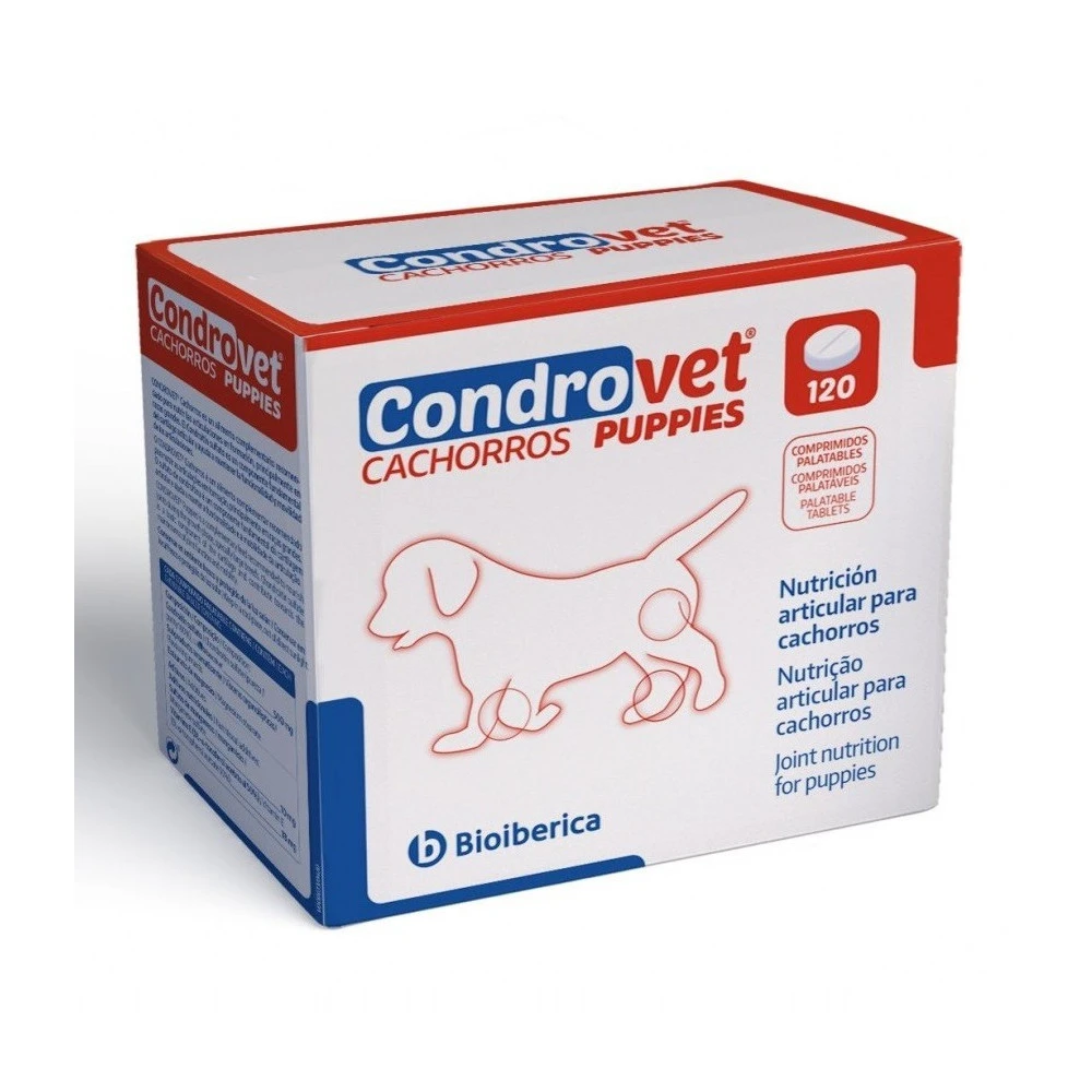 condrovet cachorros - Condroprotectores para perros: ¿Qué son y cuál es mejor para tu perro?