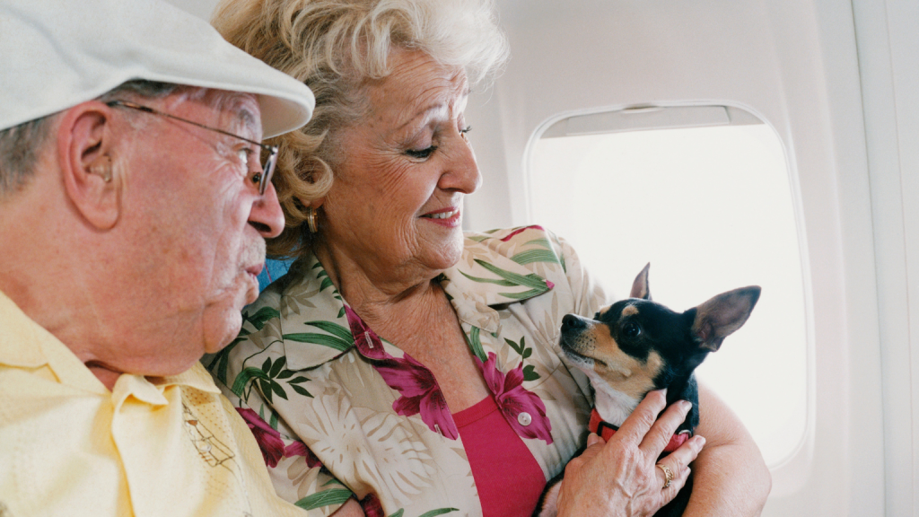 Sin titulo 1536 x 864 px 4 1024x576 - ¿Quieres viajar con tus mascotas en avión? Esto es todo lo que debes saber