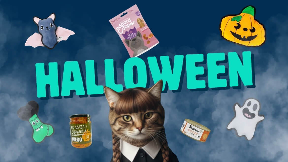 Llevate un Peluche de Halloween 1 - Cómo celebrar Halloween con tu mascota: ideas de disfraces y consejos para un día (realmente) divertido