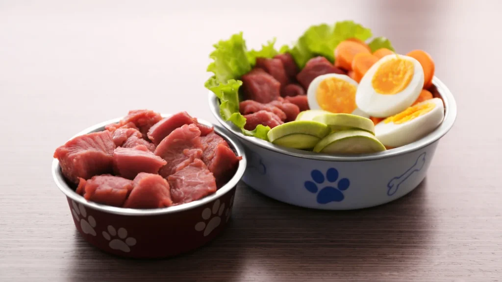 Sin titulo 1536 x 864 px 53 1024x576 - Alimentación para perros con alergias: piensos recomendados y consejos prácticos